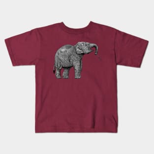 Baby Asian elephant Kids T-Shirt